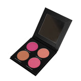 Blush Me Pink Powder Kit